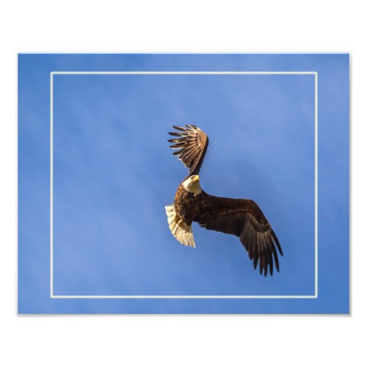 裁決 フォトプリント            (正面)