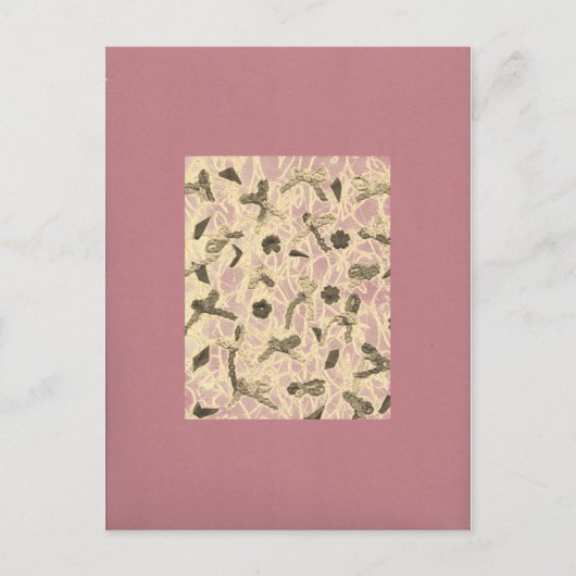 装飾されたフローティングボウ ポストカード (正面)