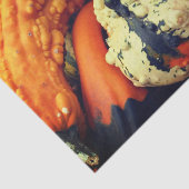 装飾カラフルグルズクローズアップ秋デコパージュ 薄葉紙 (詳細)