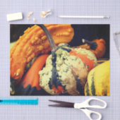 装飾カラフルグルズクローズアップ秋デコパージュ 薄葉紙 (クラフト)