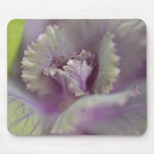 装飾キャベツ マウスパッド (正面)