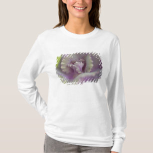 装飾キャベツ Tシャツ