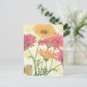 装飾デイジー ポストカード (スタンド正面)