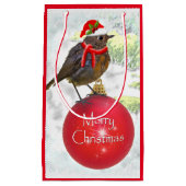 装飾ロビン抱き枕 スモールペーパーバッグ (正面)