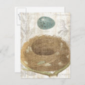 装飾卵を持つ鳥の巣 ポストカード (正面/裏面)