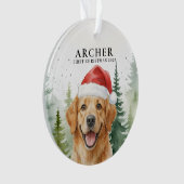 装飾品 オーナメント (正面)