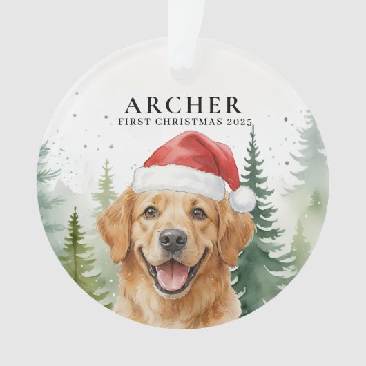 装飾品 オーナメント (正面)