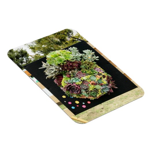 装飾多肉類 マグネット (右側)