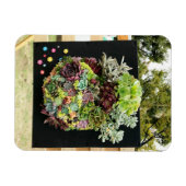 装飾多肉類 マグネット (横)