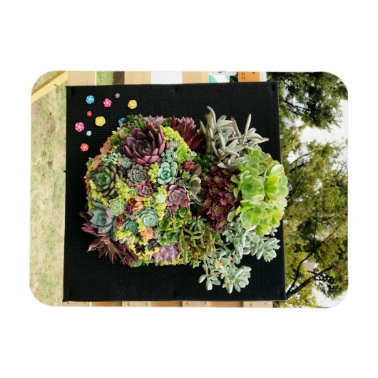 装飾多肉類 マグネット (横)