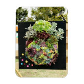 装飾多肉類 マグネット (縦)