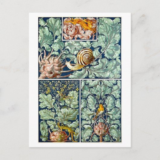 装飾物葉書としてのコールラビ ポストカード (正面)