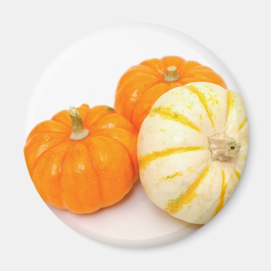 装飾用かぼちゃ マグネット (正面)
