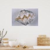 装飾用の巨大な貝殻 ポスター (キッチン)