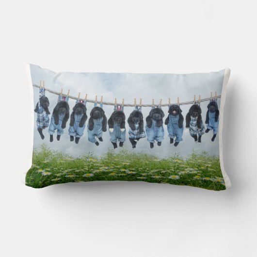 装飾用クッションのまわりでちょうどつるします ランバークッション (正面)