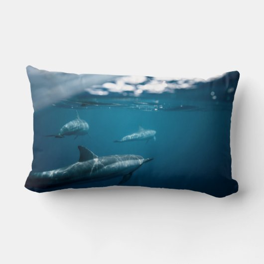 装飾用クッションスプリット・ショット写真ドルフィンズ水中 ランバークッション (裏面)