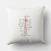 装飾用クッションヒト動脈の循環系 クッション (裏面)