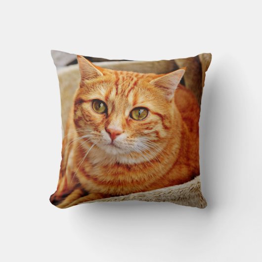 装飾用クッション16インチx 16インチ クッション (正面)