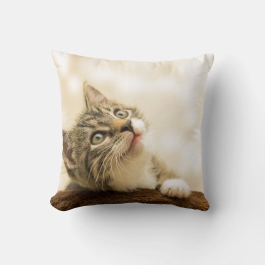 装飾用クッション16インチx 16インチ クッション (正面)