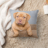 装飾用クッション16インチx 16インチ クッション (ブランケット)