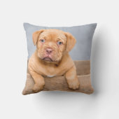 装飾用クッション16インチx 16インチ クッション (裏面)