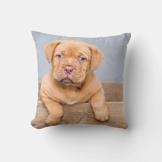 装飾用クッション16インチx 16インチ クッション (正面)