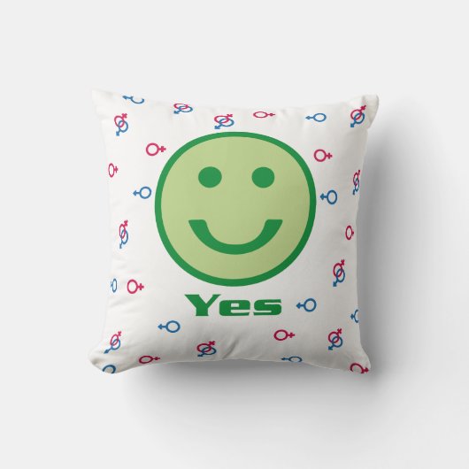 装飾用クッション クッション (正面)