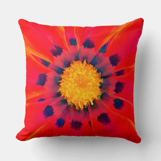 装飾用クッション クッション (正面)