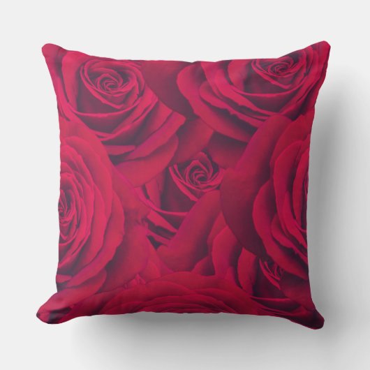 装飾用クッション クッション (正面)