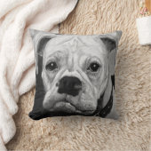 装飾用クッション – ボクサー クッション (ブランケット)