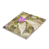 装飾用ペッパー タイル (側面)