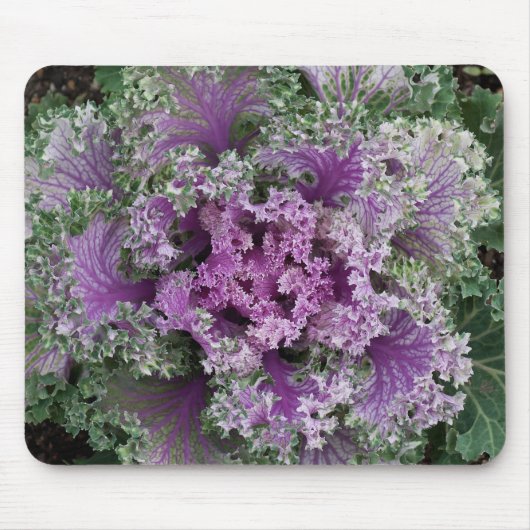 装飾用縮れ葉キャベツの植物 マウスパッド (正面)