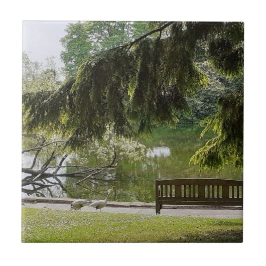 装飾用鴨池セラミックタイル タイル (正面)