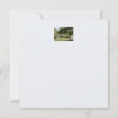 装飾用鴨池フラットカード (裏面)