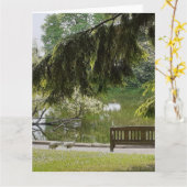 装飾用鴨池 カード (黄色い花)