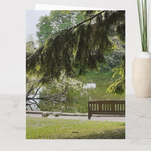 装飾用鴨池 カード (裏面)