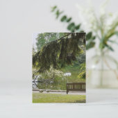 装飾用鴨池 ポストカード (スタンド正面)