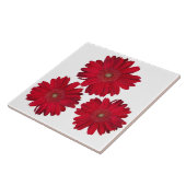 装飾用3枚の赤いガーベラデイジーのクローズアップ写真 タイル (側面)