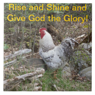 装飾的なオンドリのタイル タイル