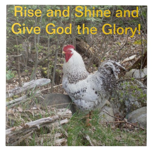 装飾的なオンドリのタイル タイル (正面)