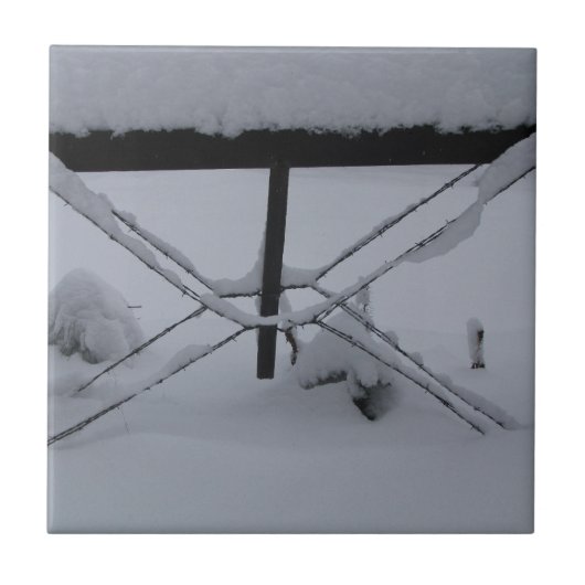 装飾的なタイル タイル (正面)