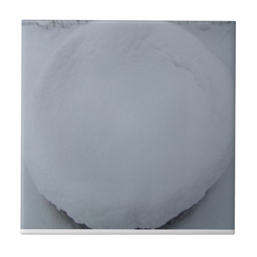 装飾的なタイル タイル (正面)