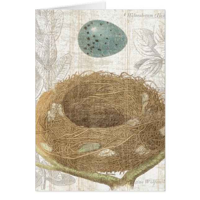 装飾的な卵が付いている鳥の巣 (正面)