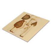 装飾的な台所アクセントのタイルの食用のきのこ タイル (側面)