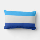 装飾的な腰神経の枕 ランバークッション (裏面)