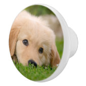 装飾的な-夢を見ているゴールデン・リトリーバーのかわいい子犬 セラミックノブ (右)