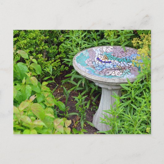 装飾的なBirdBathプリントはがき ポストカード (正面)