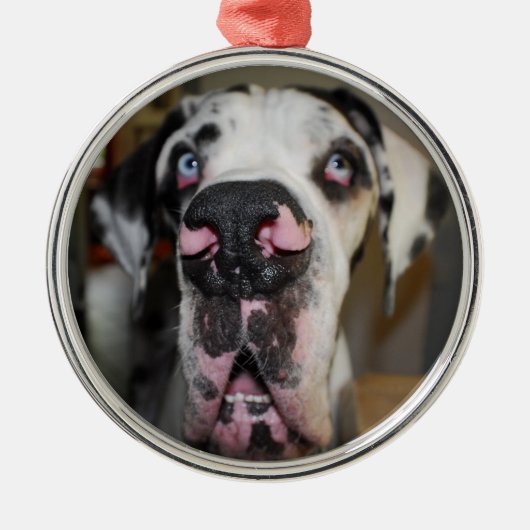 装飾的 メタルオーナメント (正面)