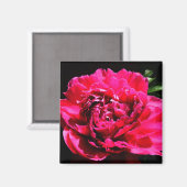 装飾磁石 – 花 マグネット (正面/裏面)