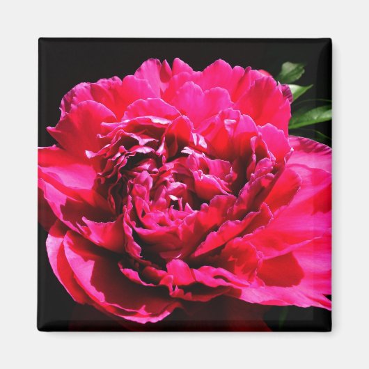 装飾磁石 – 花 マグネット (正面)